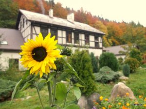 Advanced Tantra Workshop, 6th meeting of Formation, October 2015, Nowa Morawa, Poland