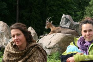 Stage shamanique « Rêves de Tarot », Aout 2016, Reserve des Loups, Lithuanie