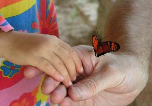 Shamanic journey – Croatia, August 2016