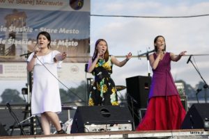 Przygotowanie i koncert z okazji 50-lecia otrzymania Praw Miejskich przez Stronie Śląskie, czerwiec 2017