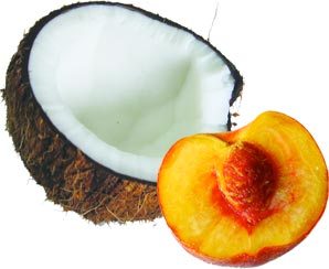 Women-peaches and men-coconuts:) — exploring the nature of femininity and masculinity