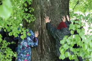 L’Arbre de vie – Tantra chamanique – Travail avec les Ancêtres